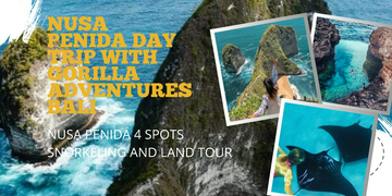 nusa-penida-west-tour-+-manta-snorkeling-from-bali