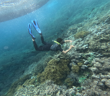 4-point-snorkeling-safari