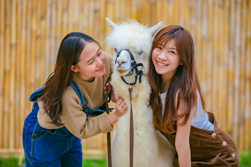 scientia-square-park