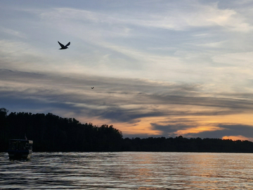 kuala-sepetang-eco-tourism