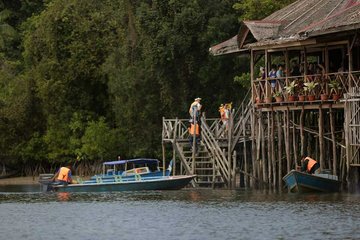 1-day-mangrove-&-fireflies-tour-package
