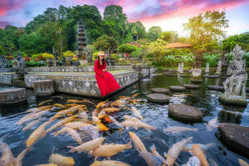 bali-instagram-private-tour-gate-of-heaven,-tirta-gangga-water-palace,-rice-terrace-and-jungle-swing