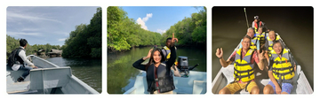 mangrove-or-fireflies-tour-in-bintan