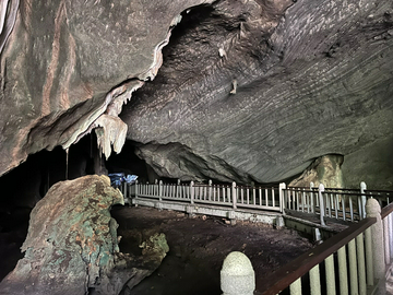 langkawi-mangrove-tour