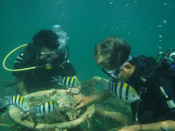 diving-&-snorkeling-tanjung-benoa-by-pandan-sari