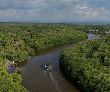 sabah:-binsuluk-river-cruise-with-firefly-watching