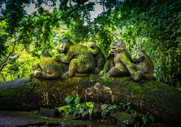 monkey-forest-entry-ticket--transfer-included