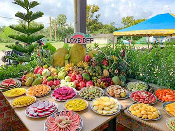 1-day-desaru-fruit-farm