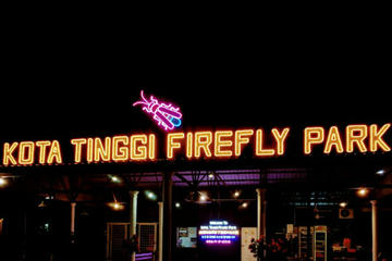 evening-tour-to-kota-tinggi-firefly