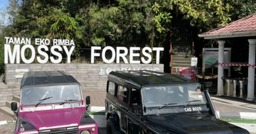 explorer's-dream-destinations---mossy-forest,-cameron-highlands