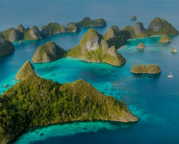 4d3n-raja-ampat-sharing-trip-–-bronze-class