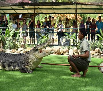 crocodile-adventureland-langkawi