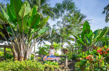 dairyland-on-the-valley-bawen