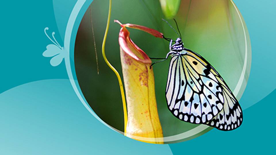 Book Entopia Tickets | Flat 20% Off