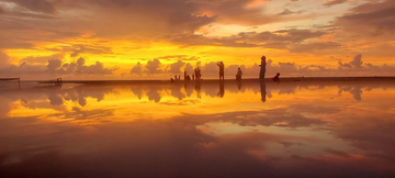 sunset-&-fireflies---watching-tour