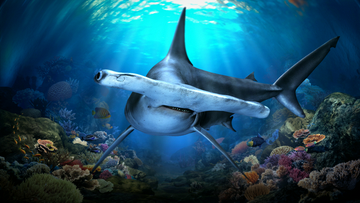 singapore-oceanarium