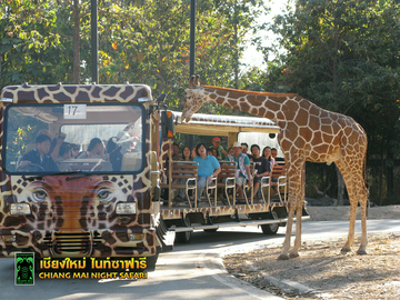chiang-mai-night-safari