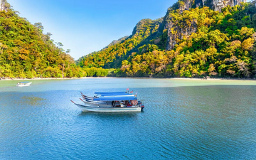 langkawi-mangrove-private-speedboat-tour