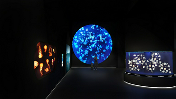 singapore-oceanarium-experience