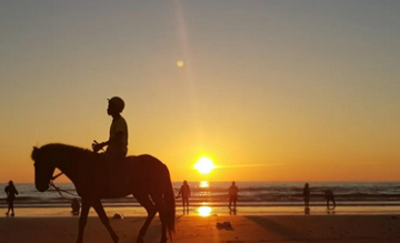 sabah-kawa-kawa-proboscis-monkey-+-fireflies-day--tour