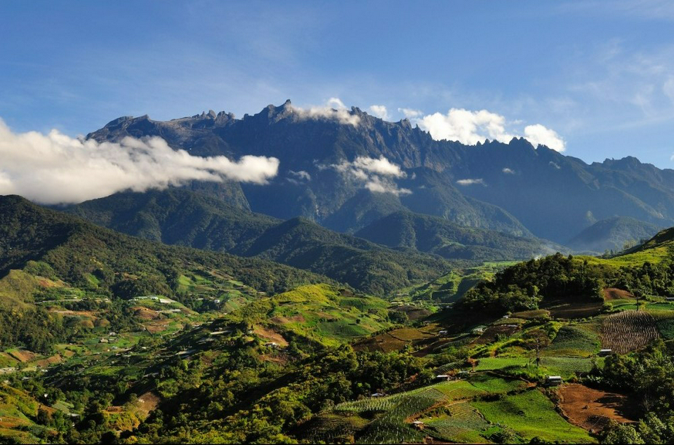 Book Sabah Kinabalu Park + Poring Hot Spring Day Tour Tickets | Flat 20 ...