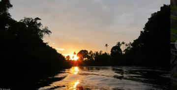 sabah-klias-proboscis-monkey-+-fireflies-day-tour