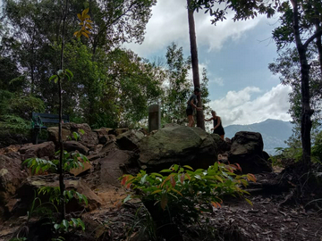 taman-negara-national-park-trekking-day-trip-(sic---join-in-tour)
