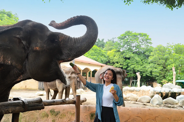 gembira-loka-zoo-yogyakarta