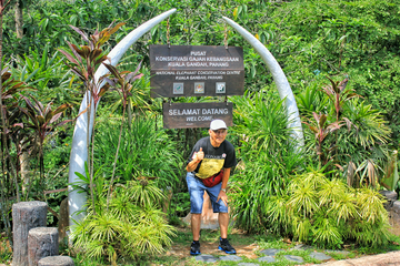 kuala-gandah-elephant-sanctuary-tour---(sic---join-in-tour)