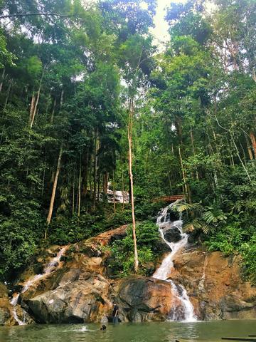 templer's-park-half-day-tour