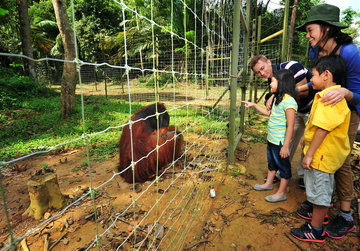 bukit-merah-orang-utan-day-tour-(sic---join-in-tour)