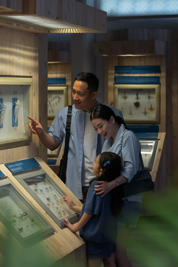 jagat-satwa-nusantara-–-dunia-serangga