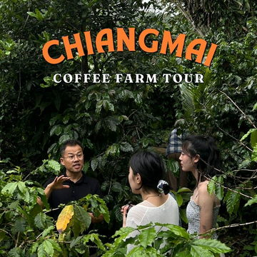 chiang-mai-organic-coffee-farm-tour-by-zeit-roaster