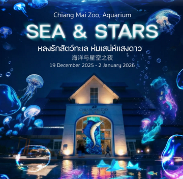 chiang-mai-night-aquarium:-sea-&-stars