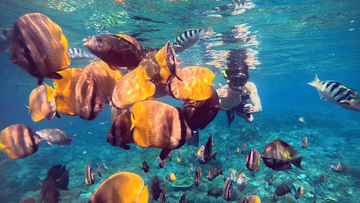 snorkeling-tour-in-nusa-penida-(3---4-snorkeling-spots)