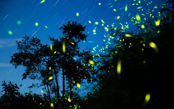 kota-kinabalu:-kawang-river-cruise