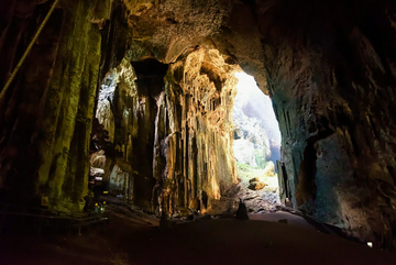 sandakan:-gomantong-cave-echoes-&-kinabatangan-river-safari