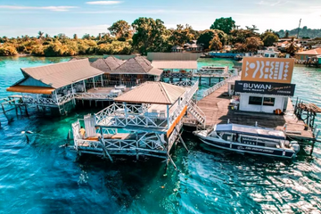 semporna:-dive-buwan-reef-at-night-with-dinner-&-transfer