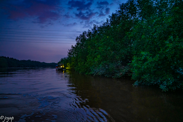 fireflies-experience-in-kuala-selangor-