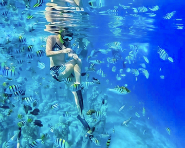 half-day-private-guided-snorkeling-tour-in-gili-islands-lombok