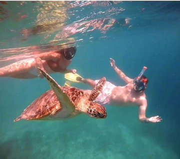 snorkling-tour-in-gili-air-island-lombok