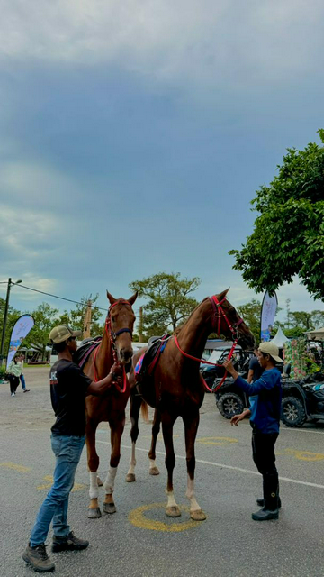 desaru-fruit-farm-horse-riding-experience