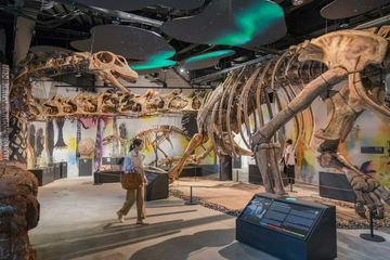 thainosaur-museum-at-asiatique-the-riverfront