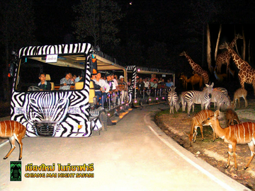 chiang-mai-night-safari-(thai-residents)