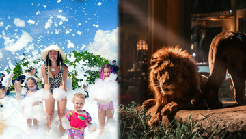 package-combination-by-flamingo-beach-club