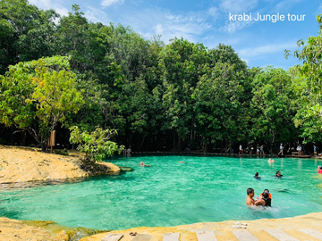 join-tour-jungle-day-tour-hot-spring-+-emerald-pool-+-lunch-set-+-tiger-cave-temple-(excluded-national-park-fee)