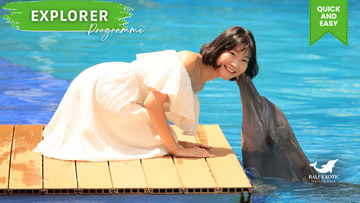bali-dolphin:-explorer-pass-"meet-dolphins-with-afternoon-tea"