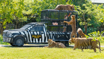 safari-world-and-marine-park-with-lunch-(included-share-transfer)