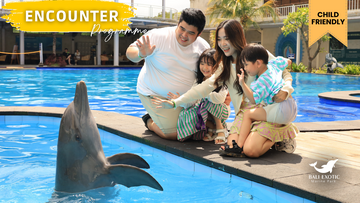 bali-dolphin:-encounter-program-"playtime-with-dolphin"