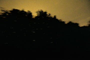 fireflies-tours-with-blue-luminescent-&-seafood-dinner-(meet-at-location)